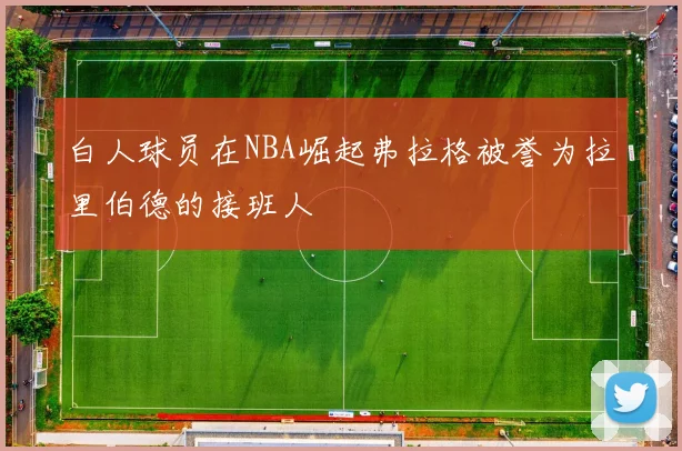 白人球员在NBA崛起弗拉格被誉为拉里伯德的接班人