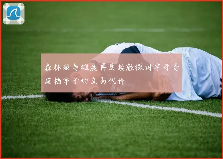 森林狼与雄鹿再度接触探讨字母哥搭档华子的交易代价