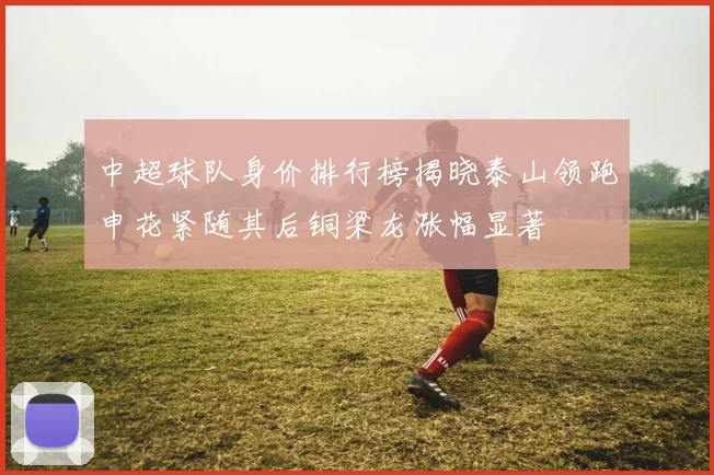 中超球队身价排行榜揭晓泰山领跑申花紧随其后铜梁龙涨幅显著